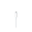 Picture of Apple EarPods with Lightning Connector - Original Apple Malaysia